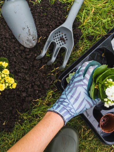 Giardinaggio e Fai da Te