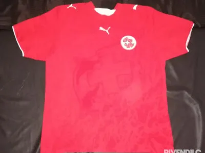 Shirt Jersey Puma Maglia Maillot Football NATI Suisse Schweiz Svizzera Switzerland Size L Puma Sehr Guter Zustand