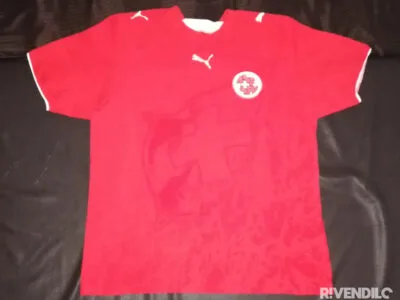 Shirt Jersey Puma Maglia Maillot Football NATI Suisse Schweiz Svizzera Switzerland Size L Puma Sehr Guter Zustand