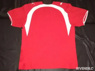 Shirt Jersey Puma Maglia Maillot Football NATI Suisse Schweiz Svizzera Switzerland Size L Puma Sehr Guter Zustand