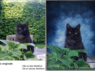 Quadri a olio su tela su commissione