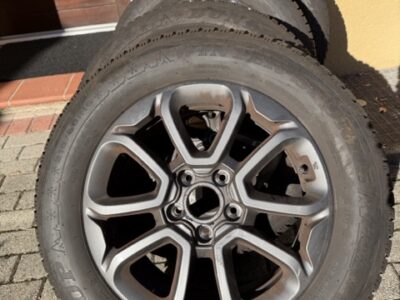 Ruote complete Fiat 500x con pneumatici invernali