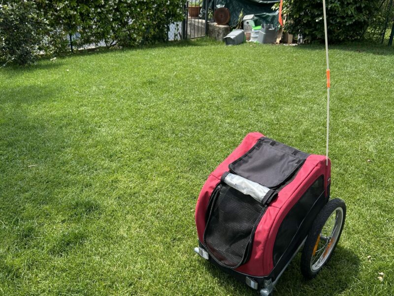Rimorchio per cane