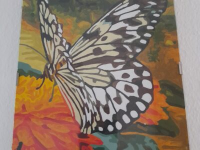 quadretti misure 18x24